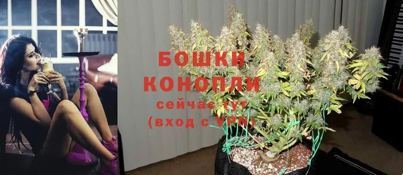 кракен онион  Новошахтинск  Канабис THC 21% 